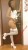 İSTANBUL ESCORT BAYAN DEFNE - Image 3