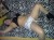 Anal escort Ayşegül Beylikdüzü - Image 4