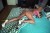Bağdat Caddesi Escort Eliz Yudum - Image 10